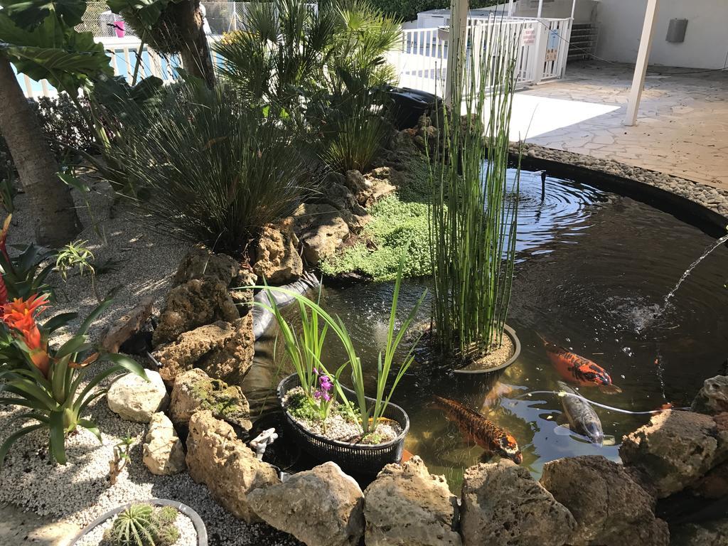 Camping La Paoute Grasse Dış mekan fotoğraf